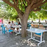 Jasmin Çıralı
