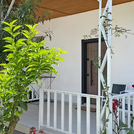 Jasmin Çıralı